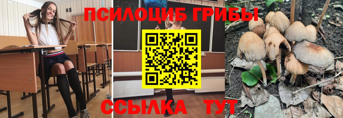 Галлюциногенные грибы Cubensis Артём